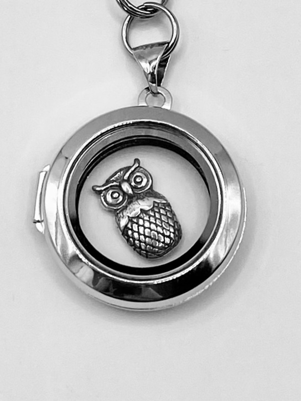 Stainless Steel and Glass Floating Locket, Sterling Silver Owl Inside, Bag Charm - Picture 2 of 4